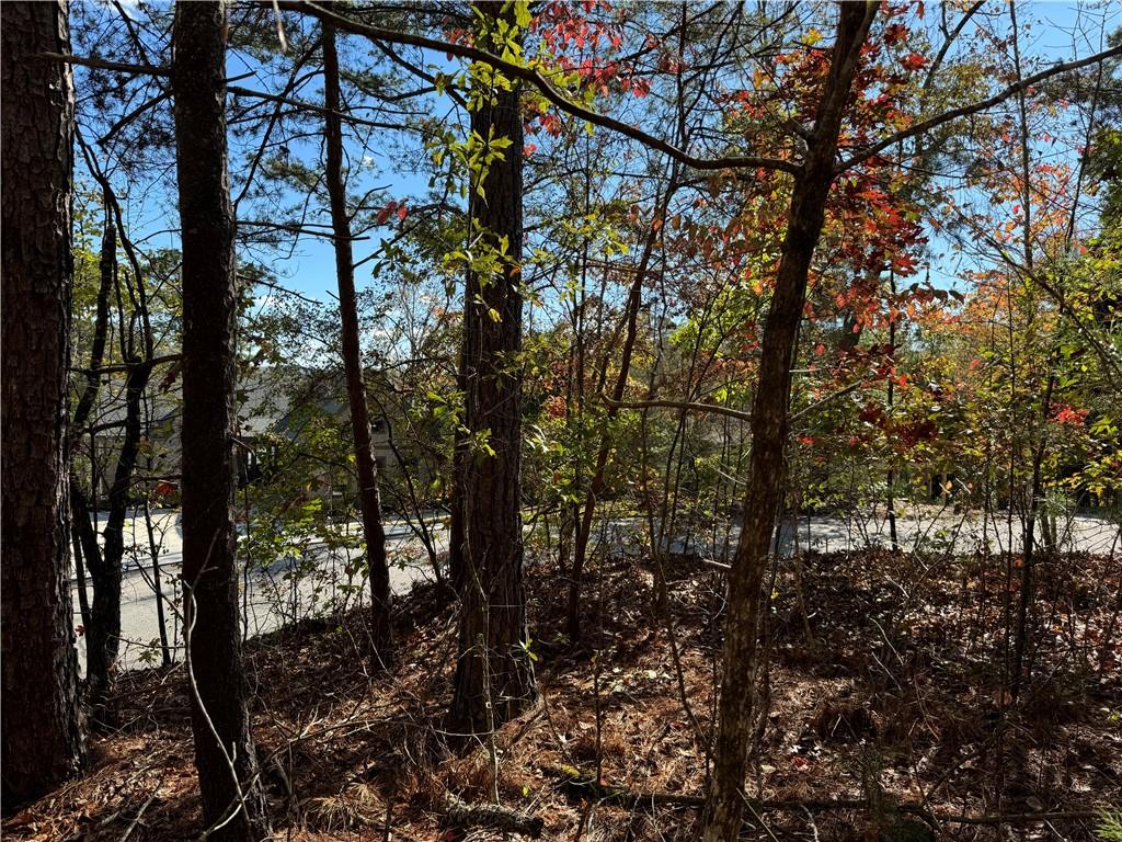 Lot 77 Keowee Bay Drive, Salem, South Carolina image 6