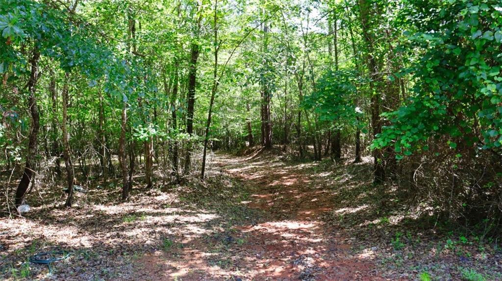 00 Walkers Corner Road, Iva, South Carolina image 7