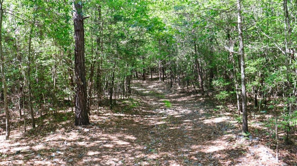 00 Walkers Corner Road, Iva, South Carolina image 4
