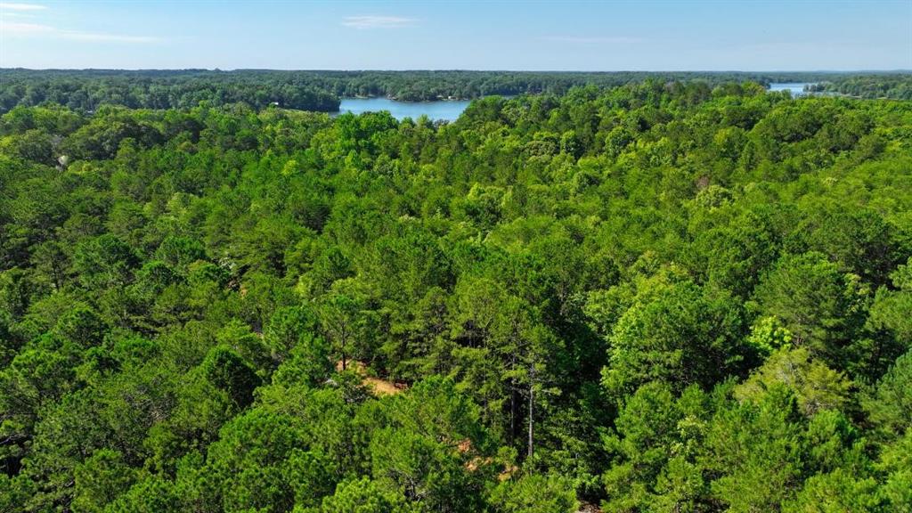 00 Walkers Corner Road, Iva, South Carolina image 10