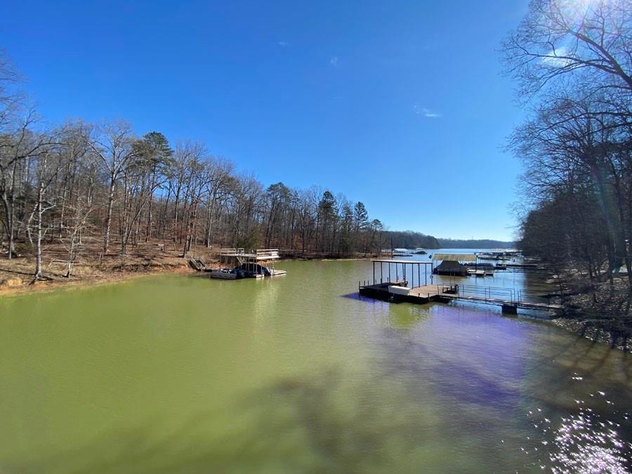 Lot 29 Knottywood Drive, Lavonia, Georgia image 3