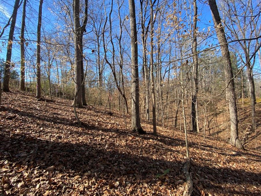 Lot 29 Knottywood Drive, Lavonia, Georgia image 6
