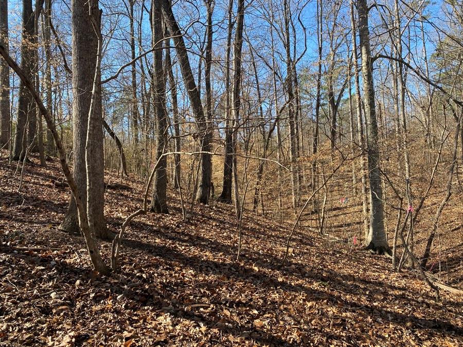 Lot 29 Knottywood Drive, Lavonia, Georgia image 4