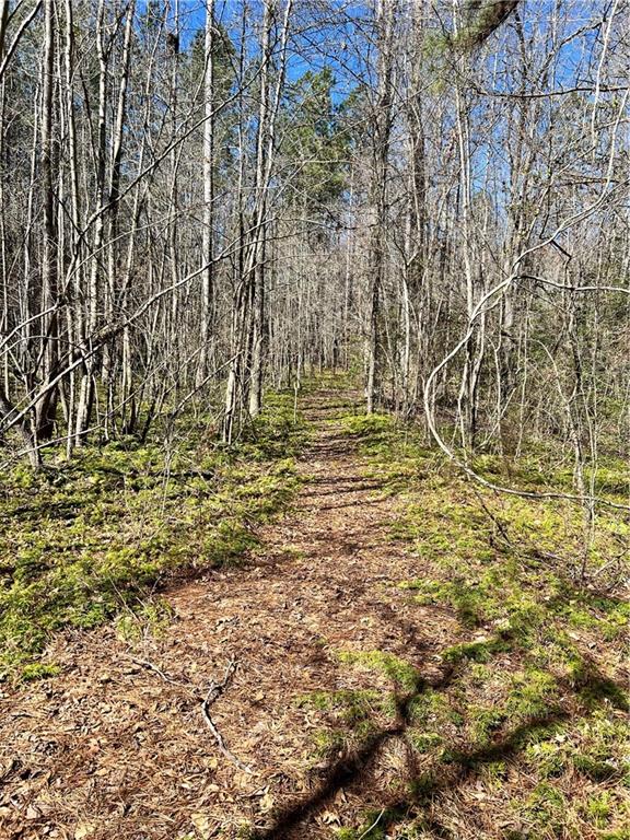 00 Wolf Creek Road, Pickens, South Carolina image 8
