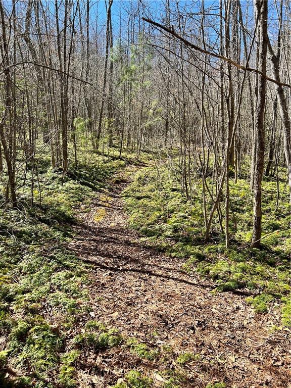 00 Wolf Creek Road, Pickens, South Carolina image 6