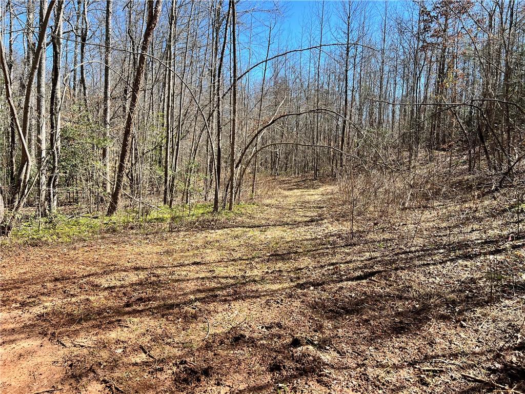 00 Wolf Creek Road, Pickens, South Carolina image 5