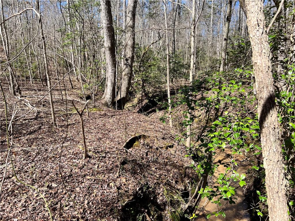 00 Wolf Creek Road, Pickens, South Carolina image 9