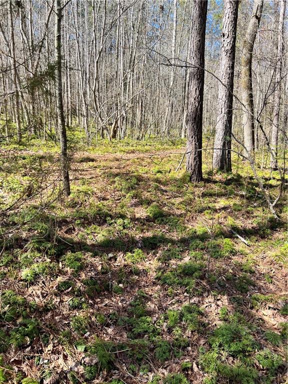 00 Wolf Creek Road, Pickens, South Carolina image 7