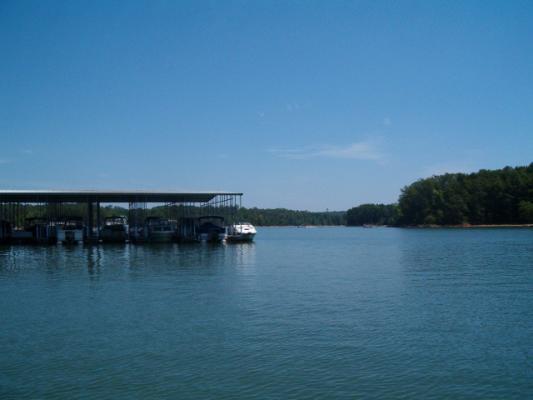 Harbor Light Marina Road, Lavonia, Georgia image 4