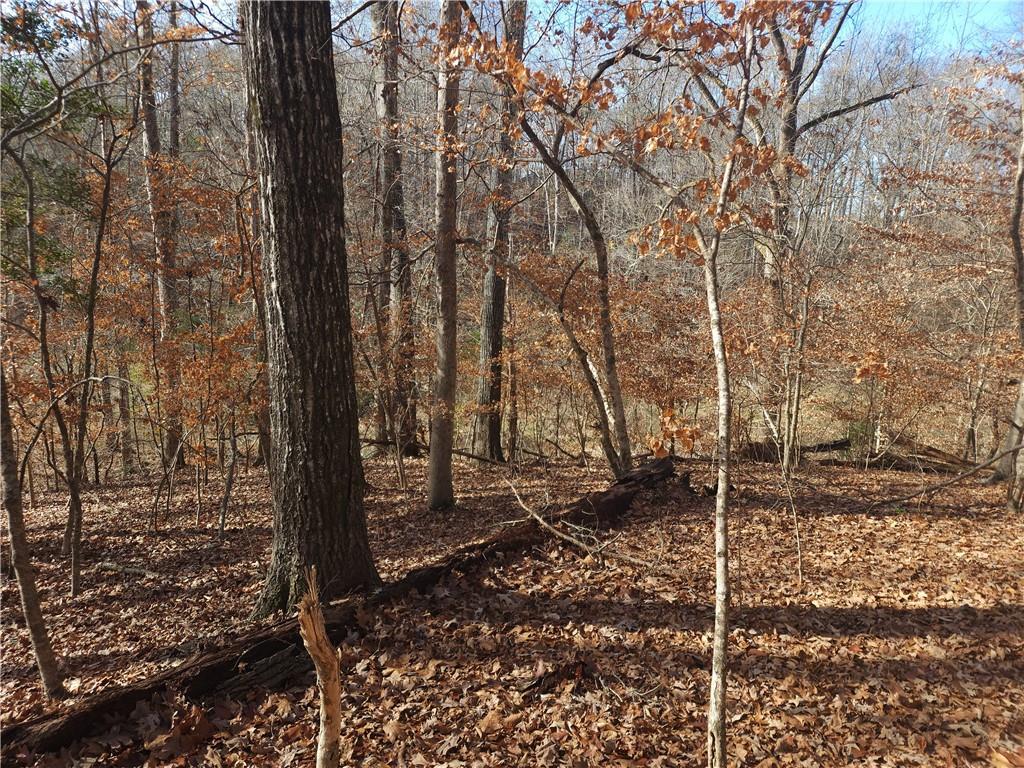 00 Boyds Mill Pond Road, Laurens, South Carolina image 4
