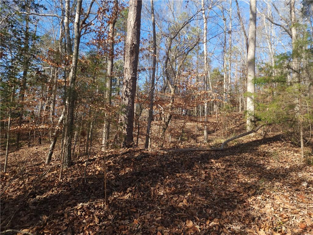 00 Boyds Mill Pond Road, Laurens, South Carolina image 9