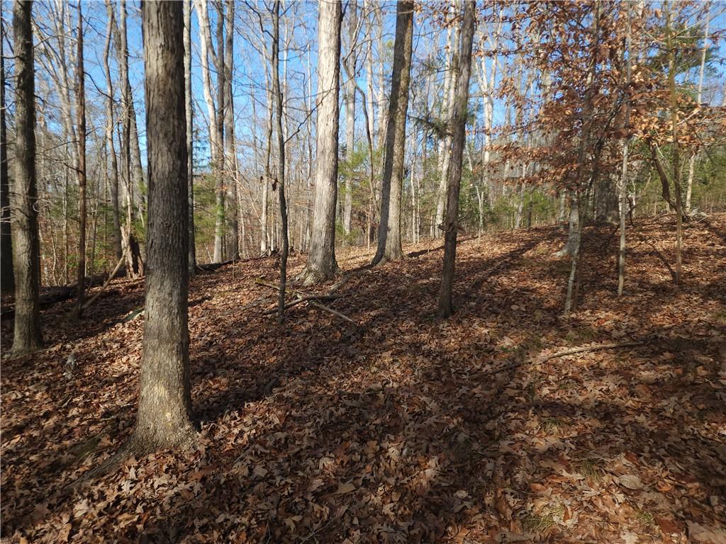 00 Boyds Mill Pond Road, Laurens, South Carolina image 3