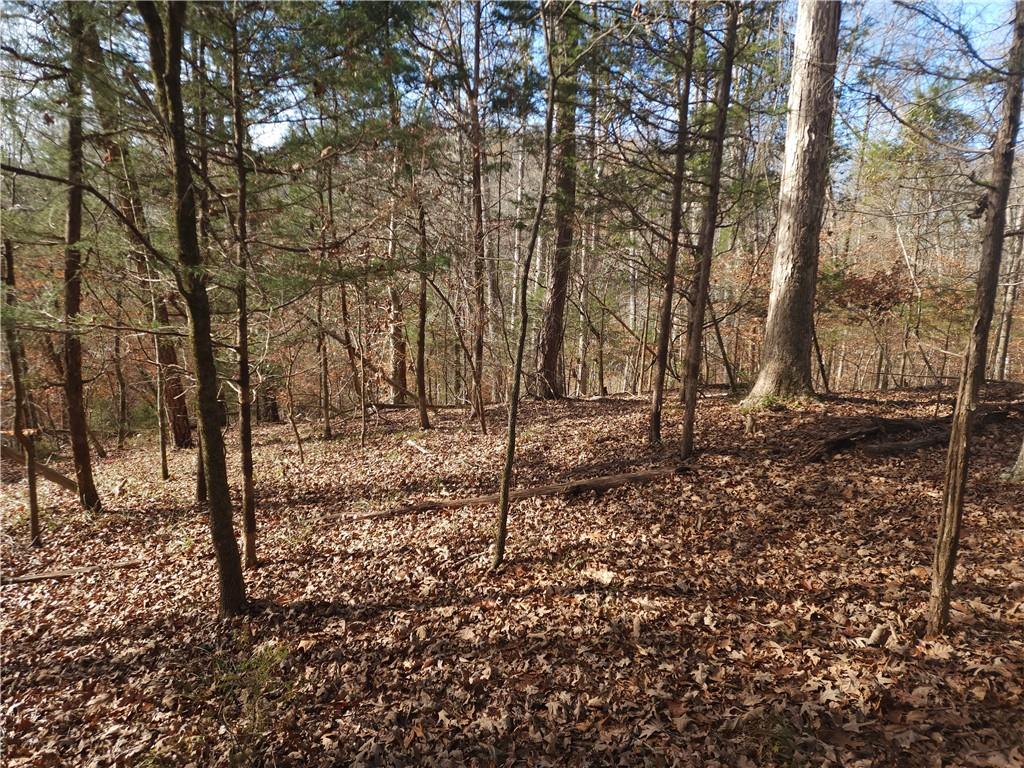00 Boyds Mill Pond Road, Laurens, South Carolina image 2