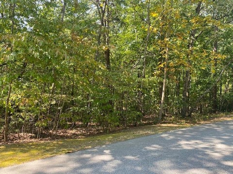 Photo for 00 Turtlehead Drive