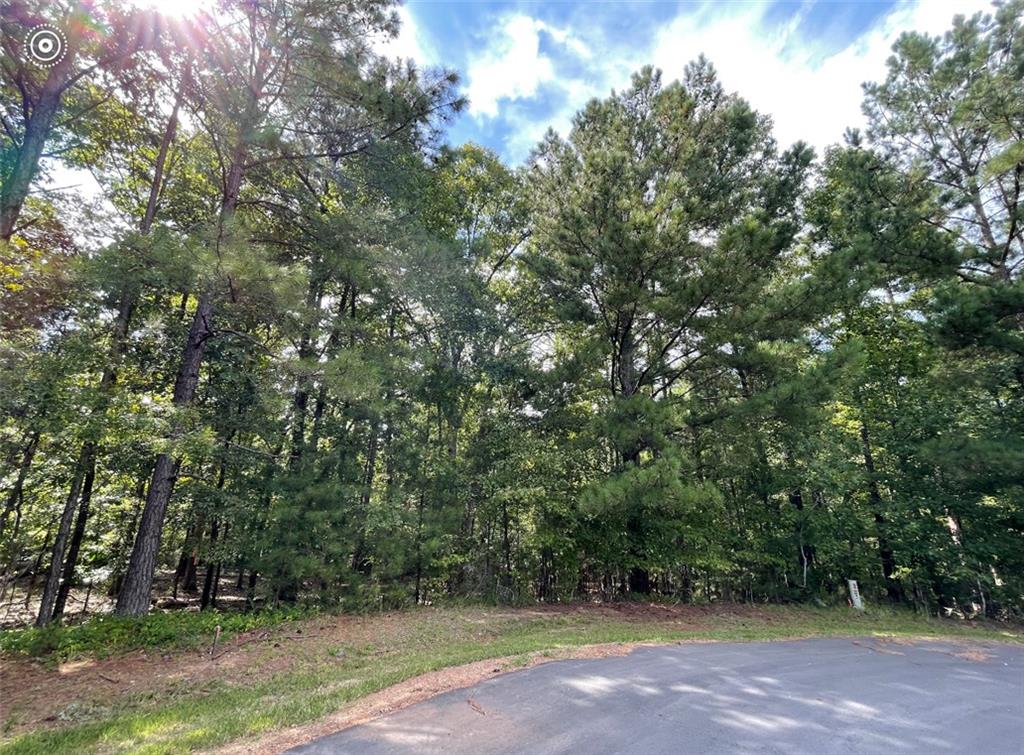 LOT 5 Rebecca Lane, McCormick, South Carolina image 4