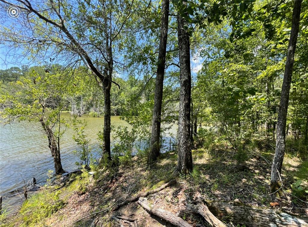 LOT 5 Rebecca Lane, McCormick, South Carolina image 5