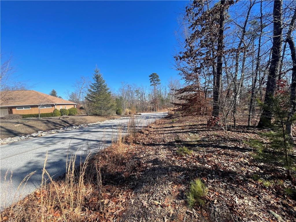 06 Sixteenth Circle, Walhalla, South Carolina image 12
