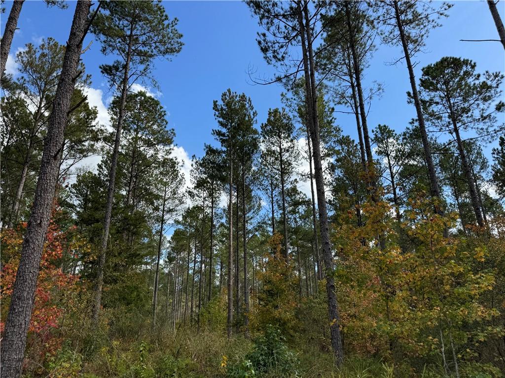 02 Seneca St Extension, Calhoun Falls, South Carolina image 23