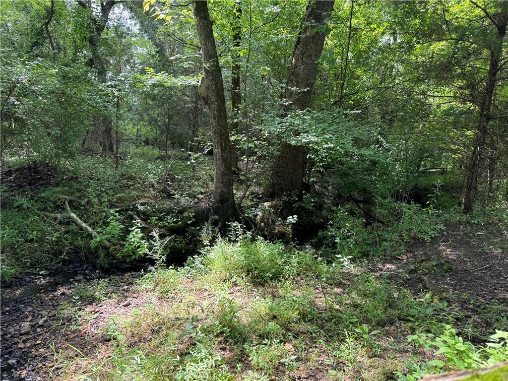 02 Seneca St Extension, Calhoun Falls, South Carolina image 15