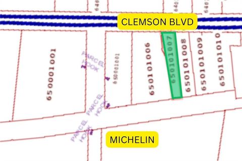 Unimproved Land in Pendleton SC 6219 Clemson Boulevard.jpg