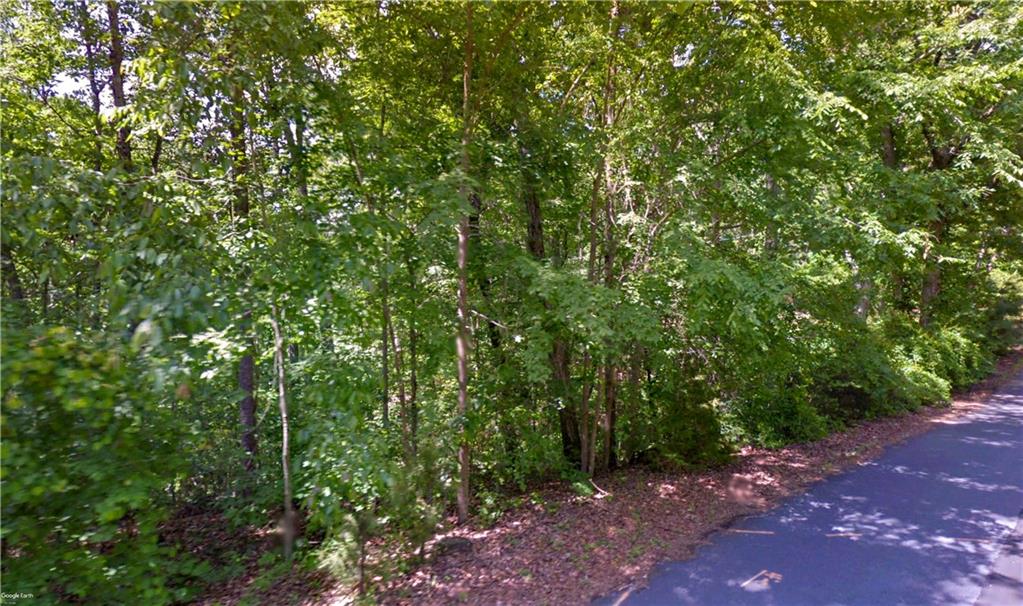 Lot 6&10 E Lakeshore Drive, Fair Play, South Carolina image 4