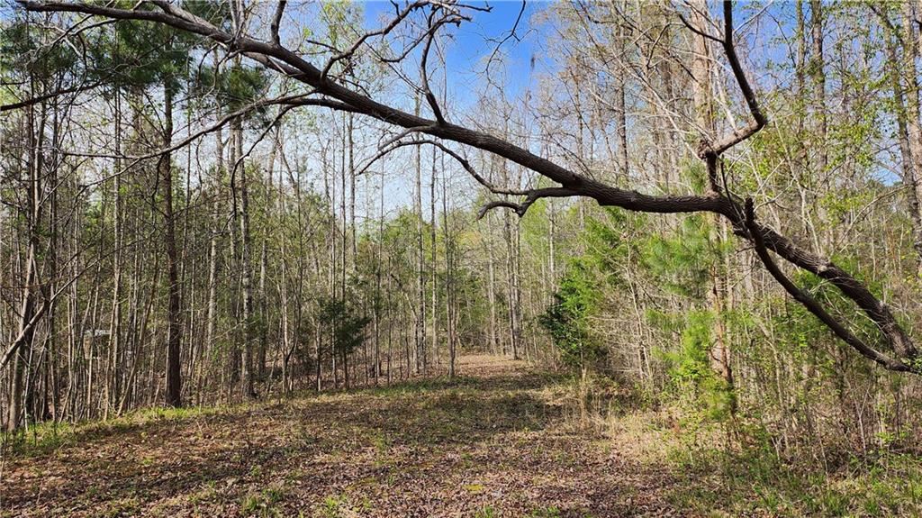 18120 S Highway 11, Fair Play, South Carolina image 6