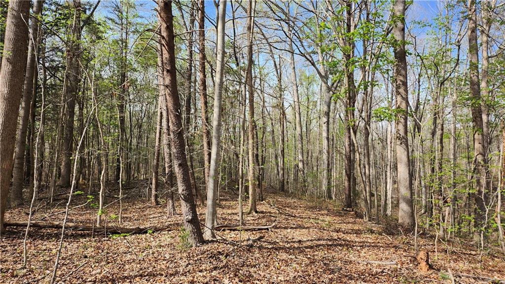 18120 S Highway 11, Fair Play, South Carolina image 10