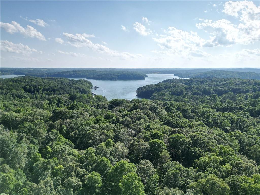 18120 S Highway 11, Fair Play, South Carolina image 22
