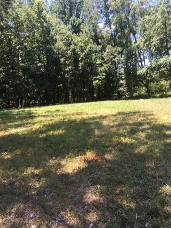 00 Murdock Road #TRACT D, Belton, South Carolina image 2