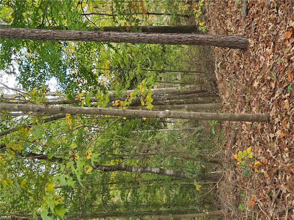 Lot 55 Parkview Drive, Fair Play, South Carolina image 10