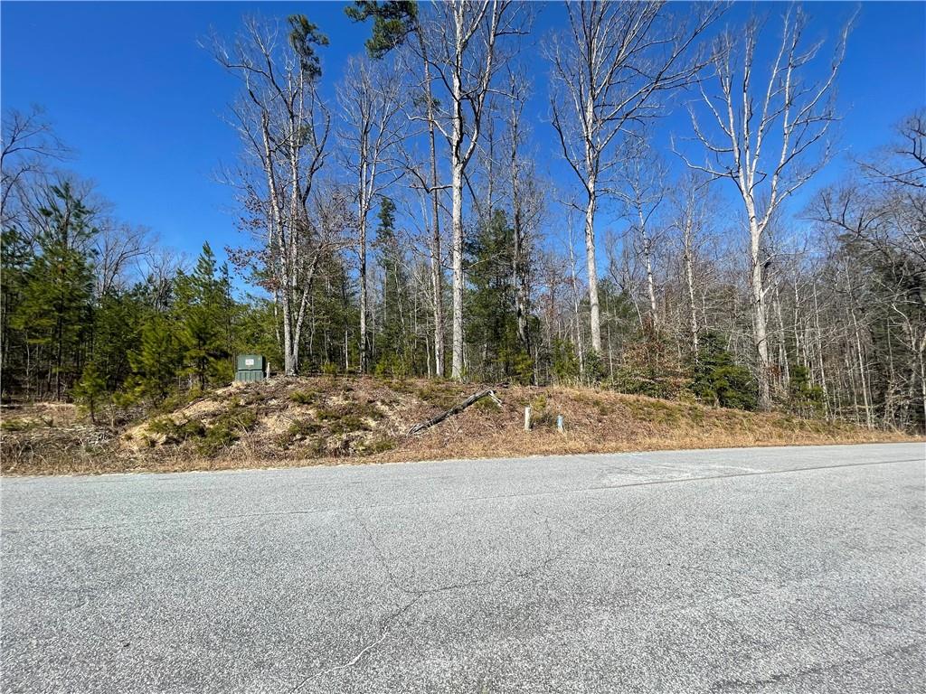 Lot 20 Falcons Lair West Drive, Walhalla, South Carolina image 1