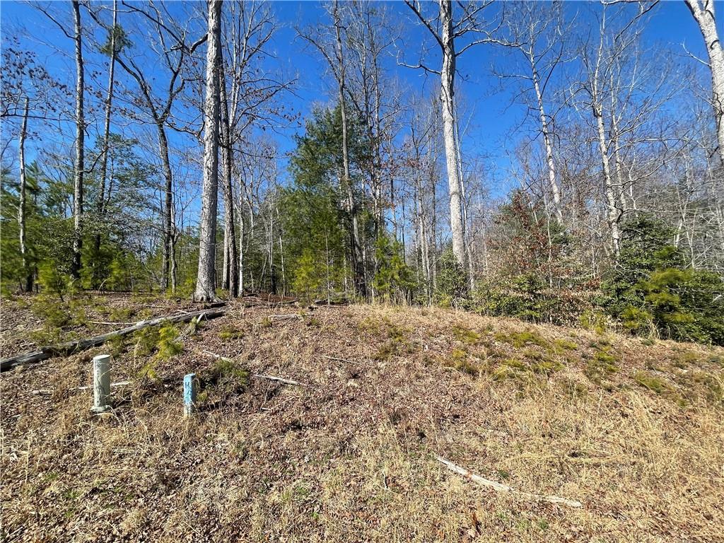 Lot 20 Falcons Lair West Drive, Walhalla, South Carolina image 4