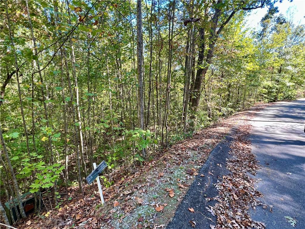 124 Falcon Crest Way, Pickens, South Carolina image 7