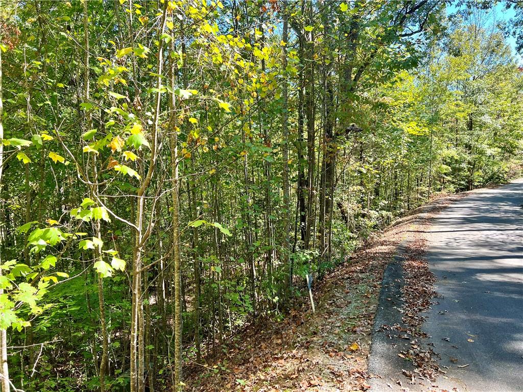 124 Falcon Crest Way, Pickens, South Carolina image 8
