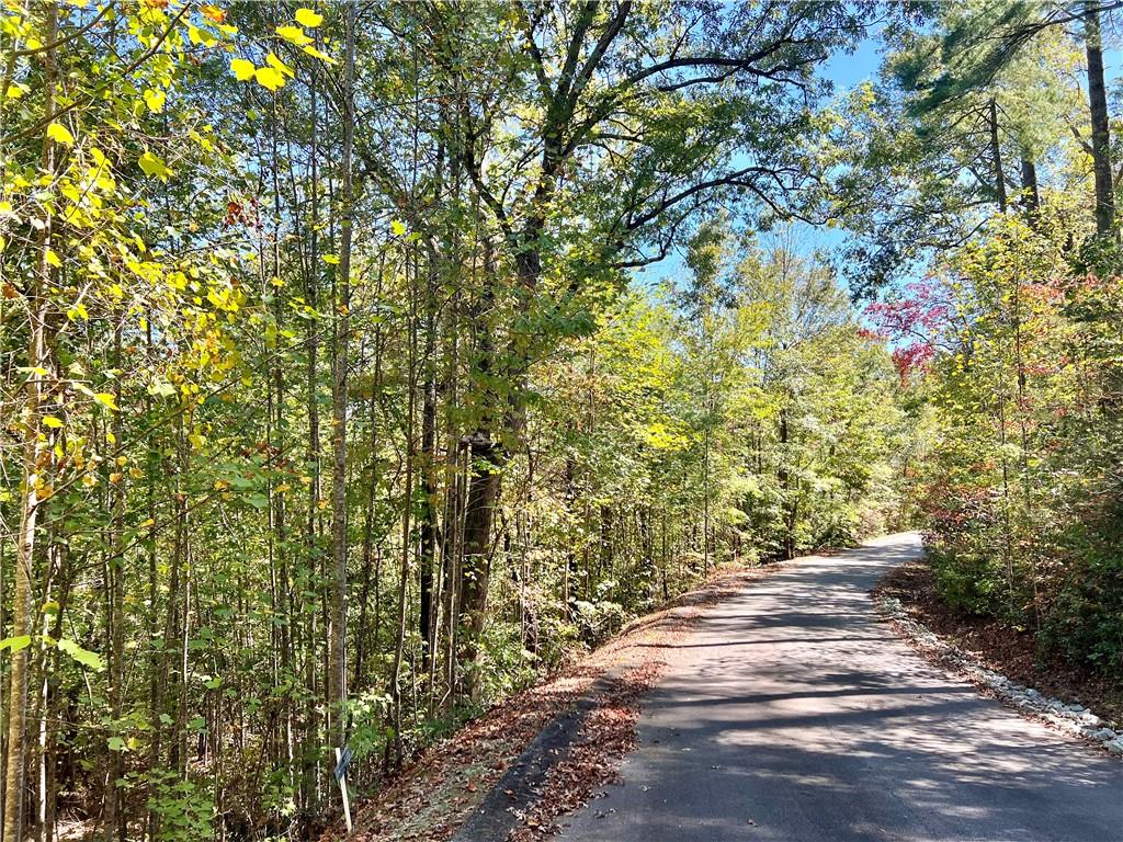 124 Falcon Crest Way, Pickens, South Carolina image 1