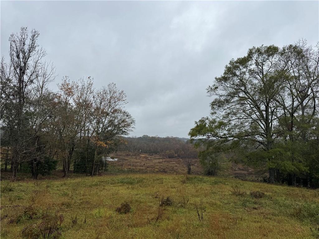 00 Highway 252, Honea Path, South Carolina image 6