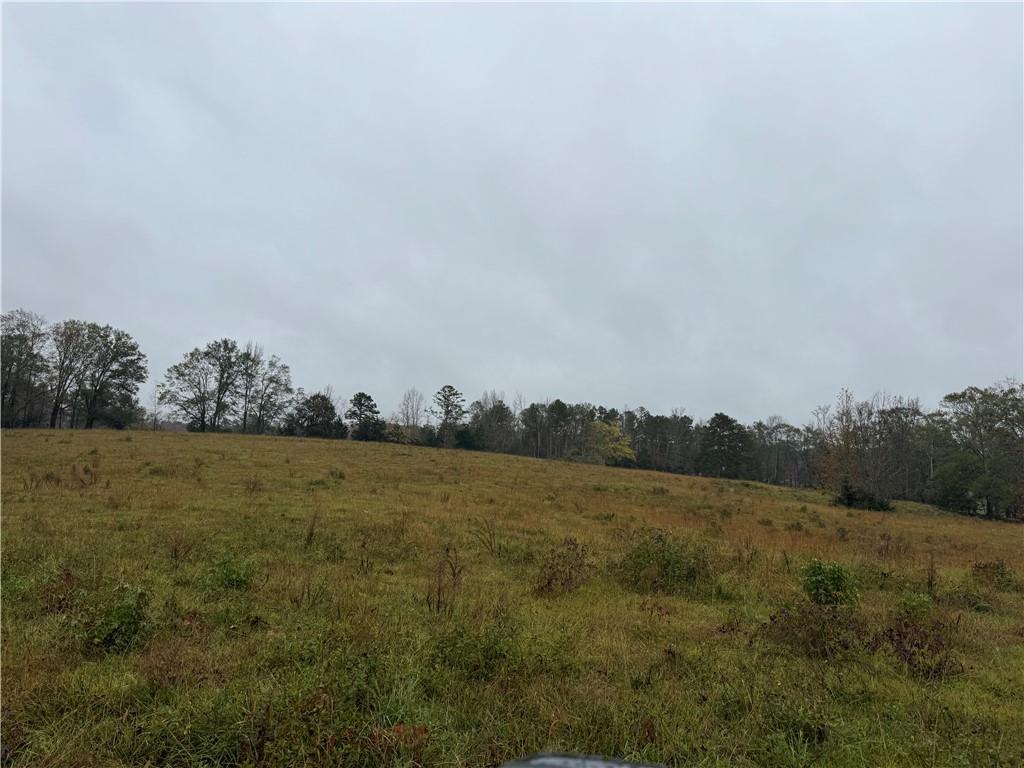 00 Highway 252, Honea Path, South Carolina image 9