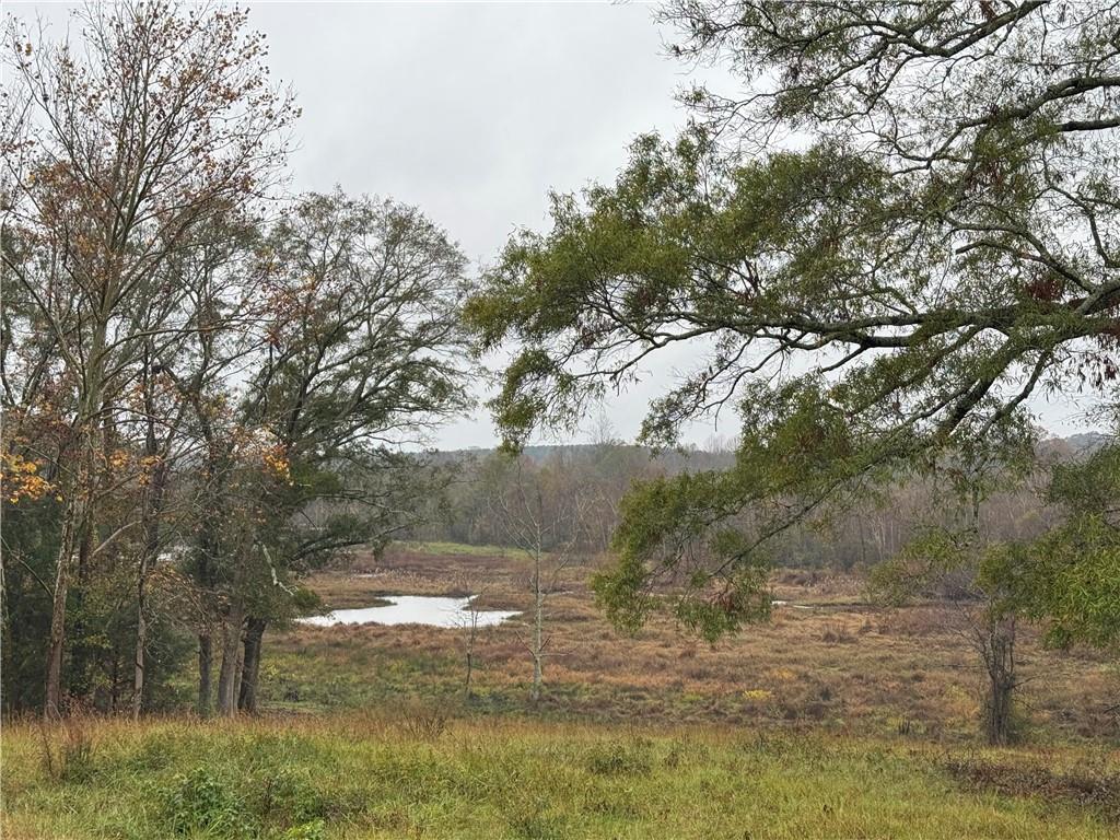 00 Highway 252, Honea Path, South Carolina image 7