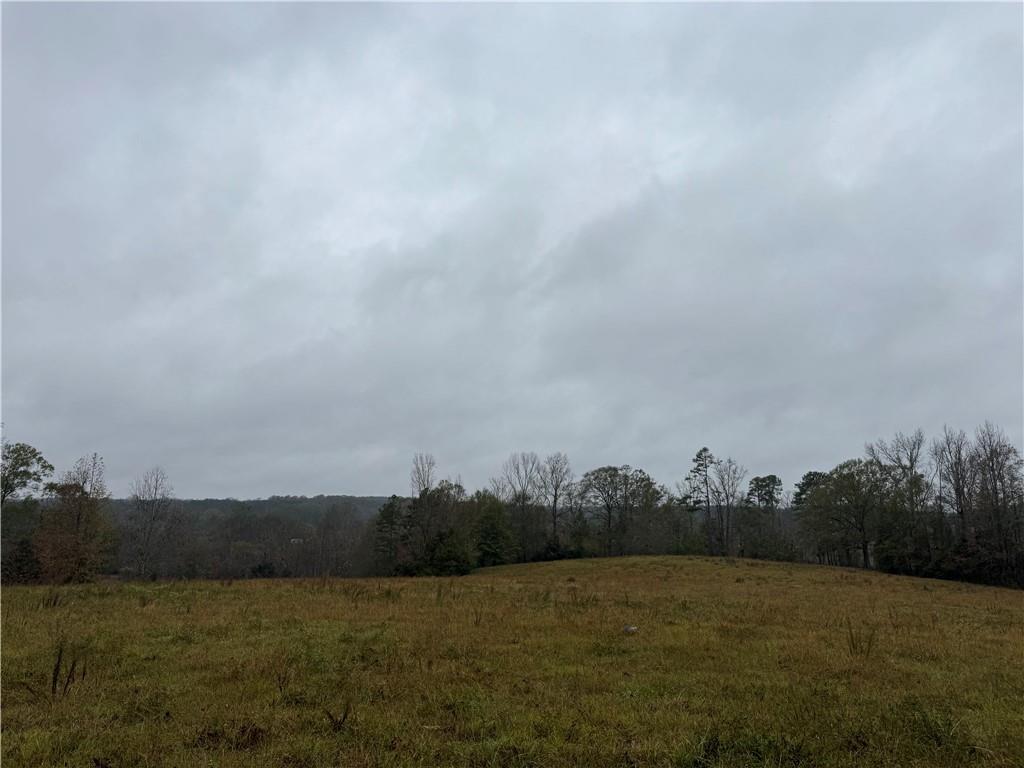 00 Highway 252, Honea Path, South Carolina image 5