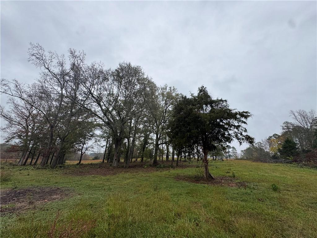 00 Highway 252, Honea Path, South Carolina image 3