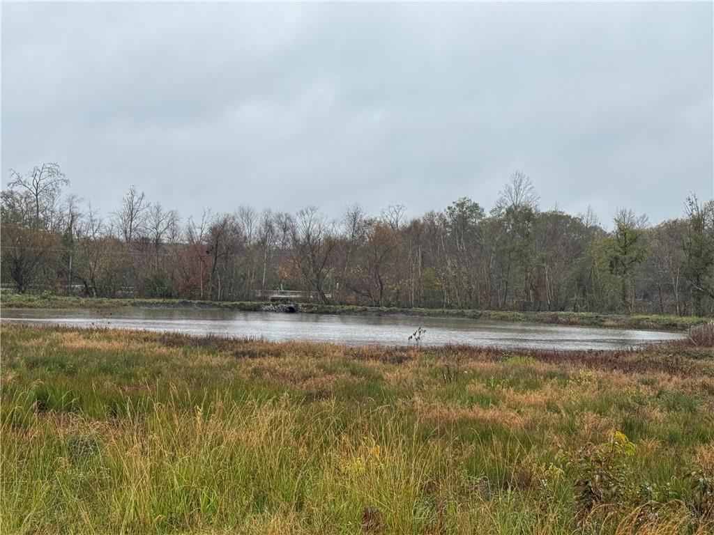 00 Highway 252, Honea Path, South Carolina image 10