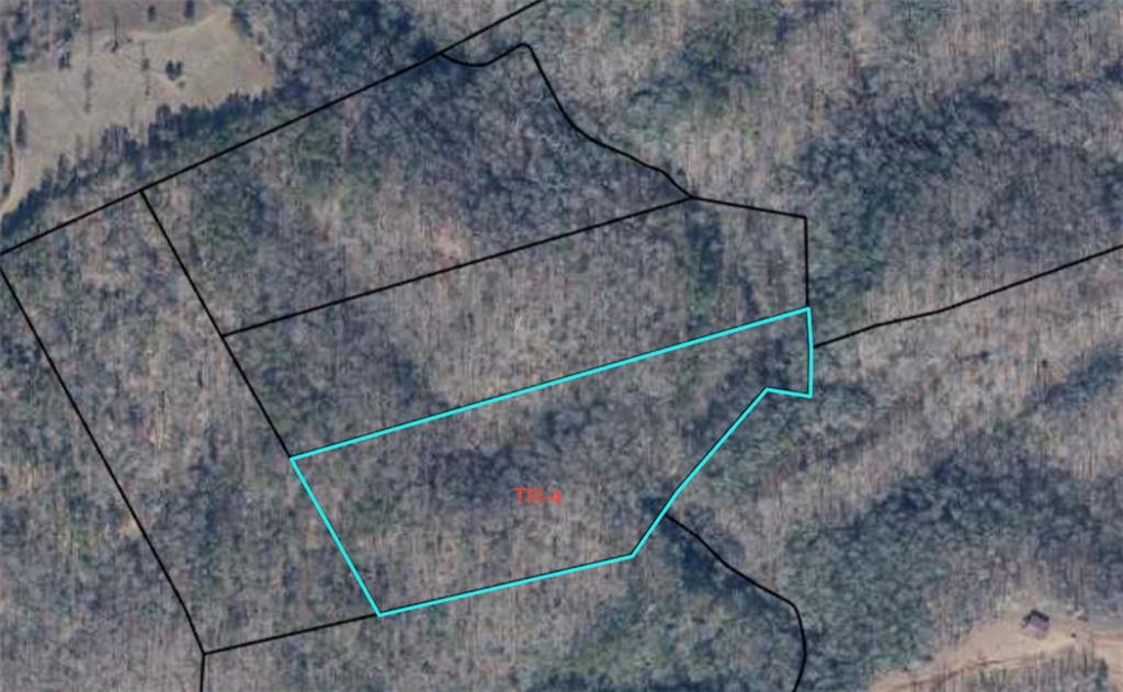 TR 4 Cobb Bridge Road, Westminster, South Carolina image 9
