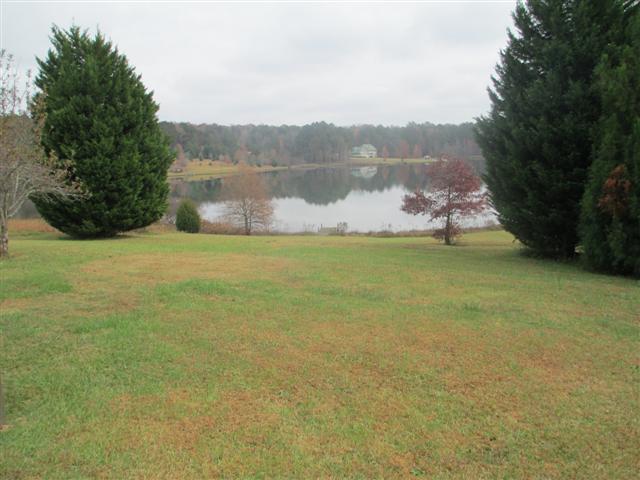 00 The Bear Boulevard, Tamassee, South Carolina image 5