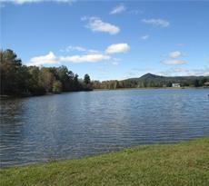 00 The Bear Boulevard, Tamassee, South Carolina image 2