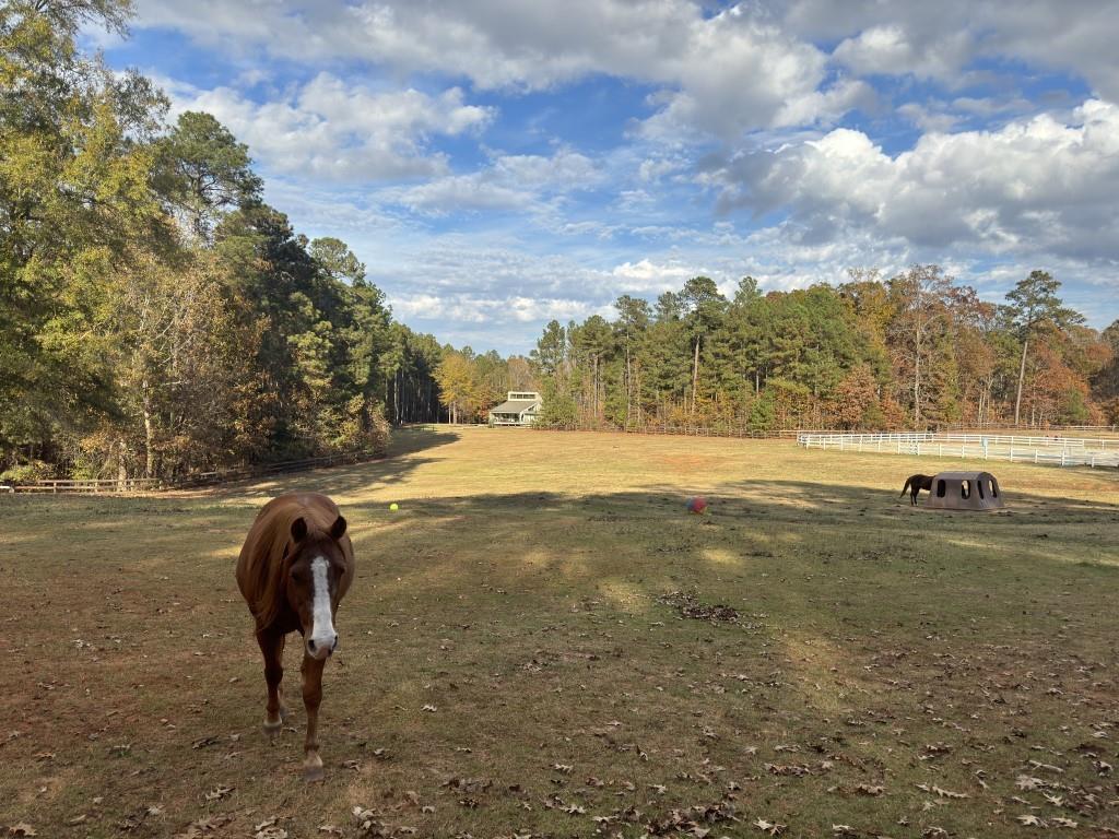 Lot 95 Armory Court, Ninety Six, South Carolina image 10
