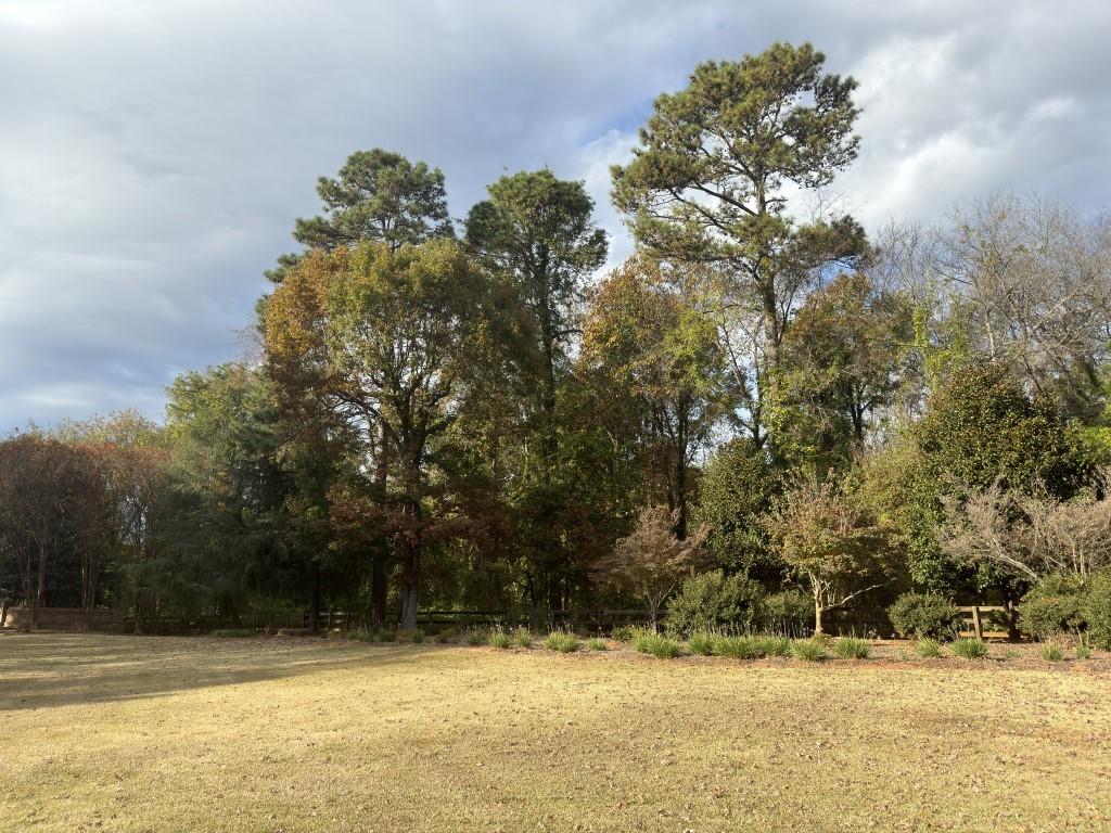Lot 95 Armory Court, Ninety Six, South Carolina image 6