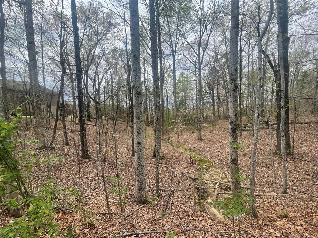 1608 Banchory Circle, Walhalla, South Carolina image 2