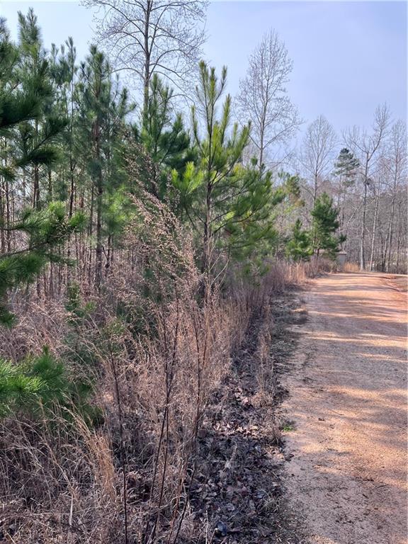 S Lakeview Drive, Fair Play, South Carolina image 14
