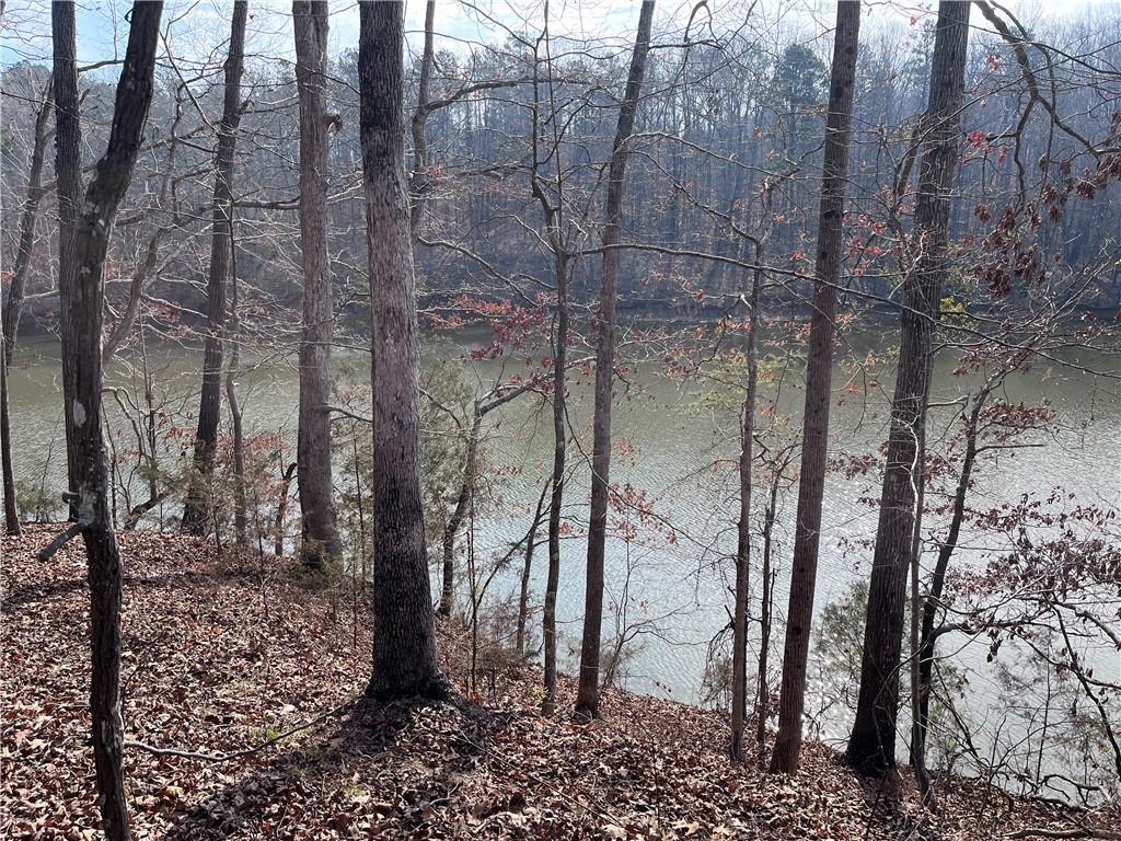 S Lakeview Drive, Fair Play, South Carolina image 6