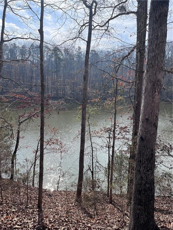 S Lakeview Drive, Fair Play, South Carolina image 7